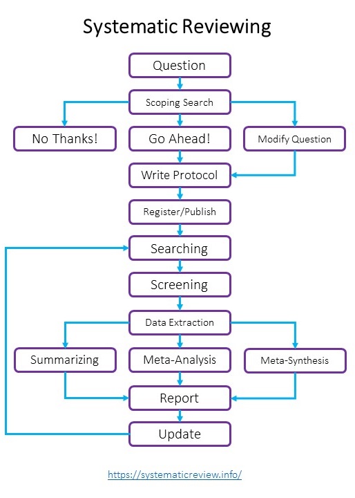 Systematic Reviewing